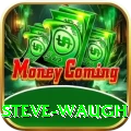 steve waugh Master Pro v3.7.7