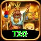t20 Apps (Tools & Injectors) VIP v5.0.5