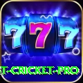 test cricket Live Casino Champion