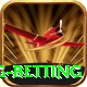 turkey super lig betting Games (Casino & Earning) VIP v3.5.6