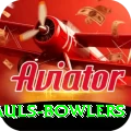 wicket hauls bowlers Deluxe v1.8.9