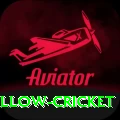 willow cricket Gold v5.8.8