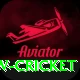 willow cricket Gold v5.8.8