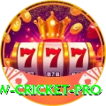 willow cricket Mobile Gold